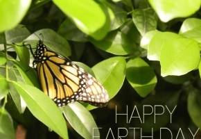 earth-day