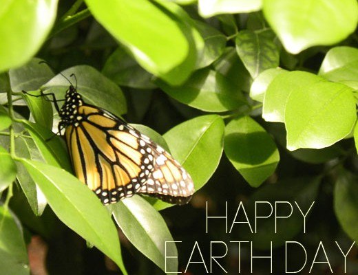 earth-day