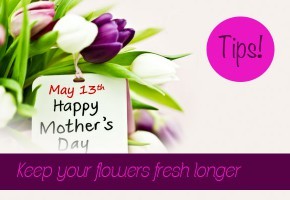 flower-care-tips