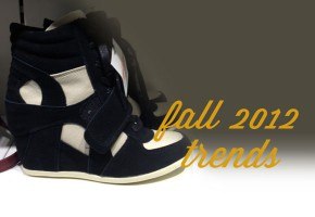 fall-trends