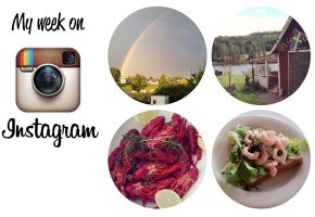 instagram-swedis-summer-skimbaco