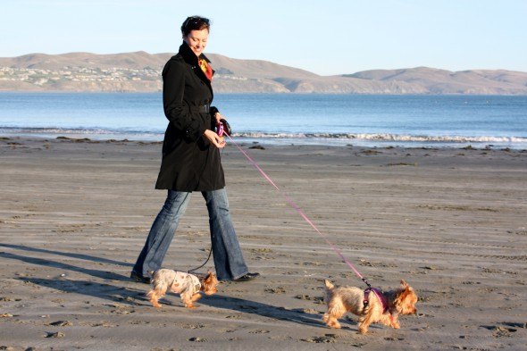 Take a walk on the beach in Bodega