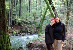 Things for the "Outdoorsy Type" to do in Sonoma Valley