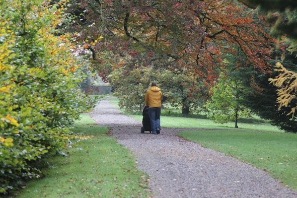 Walk by Castle Durrow in Ireland I @SatuVW
