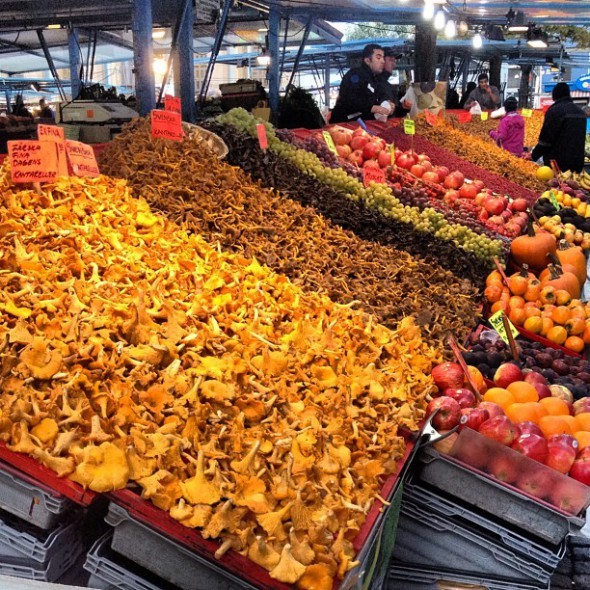 chantarelle