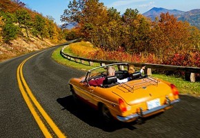 fall-foliage