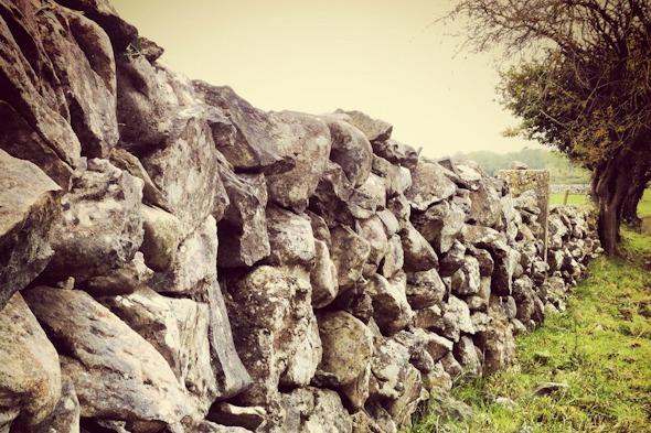 Rock fence on a field in Ireland I @SatuVW Rock fence on a field in Ireland I @SatuVW