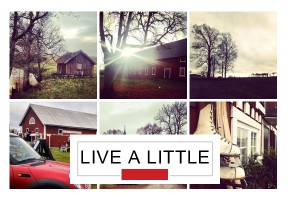 live-a-little-falltime