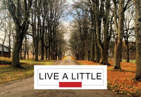 live-a-little-road