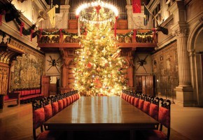 Biltmore Christmas, Asheville, NC