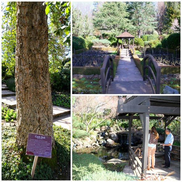 Ferrari-Carano Gardens