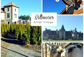 Biltmore Estate in Asheville, NC