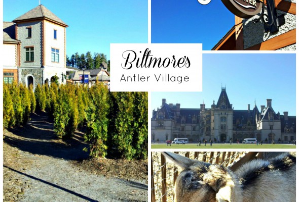 Biltmore Estate in Asheville, NC