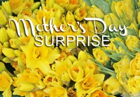 mothers-day-surprise