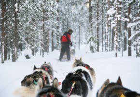 Magic of Lapland in 48 hours in Rovaniemi, Finland
