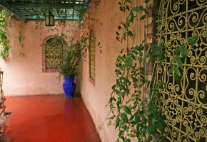 Jardin Majorelle, Marrakech | Photo by Katja Presnal @skimbaco