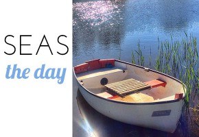 Seas the day