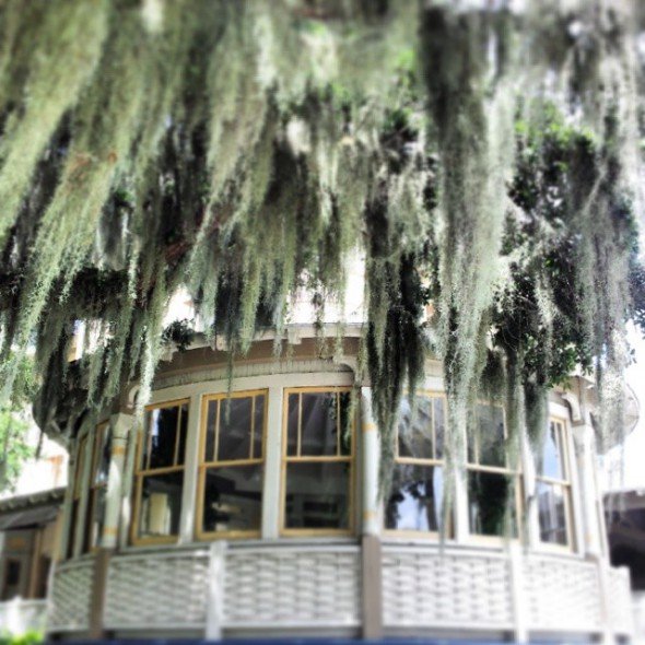 Jekyll Island Club Hotel Haunted Jekyll Island Club Hotel Haunted